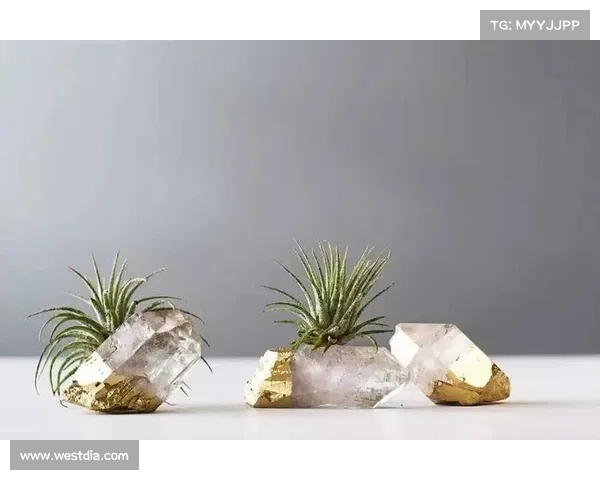 森林中的生存之道:喝水直通灵感 森林中的生存之道:喝水直通灵感